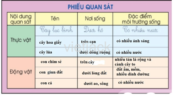 Bài 17: Thực hành tìm hiểu môi trường sống của thực vật và động vật