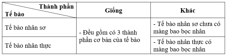 Bài 19. Cấu tạo và chức năng các thành phần của tế bào