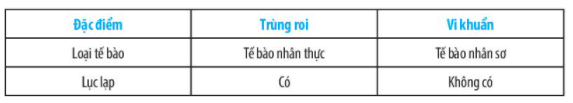 Bài 19: Cơ thể đơn bào và cơ thể đa bào