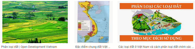 Bài 19. Lớp đất và các nhân tố hình thành đất. Một số nhóm đất điển hình