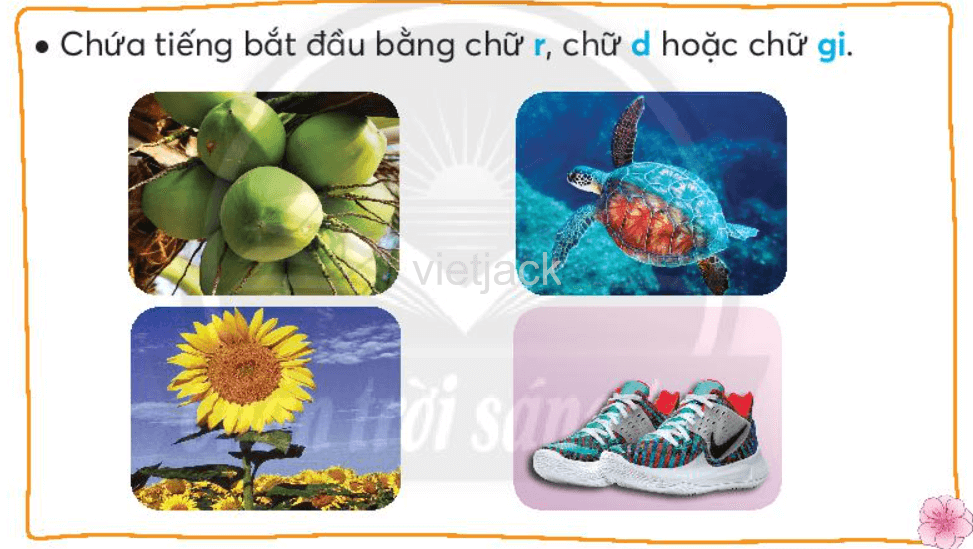 Tiếng Việt lớp 2 Bài 2: Rừng ngập mặn Cà Mau trang 61, 62, 63, 64, 65 - Chân trời