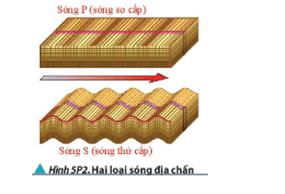 Hình 5P.2 mô tả hai loại sóng địa chấn truyền trong môi trường 