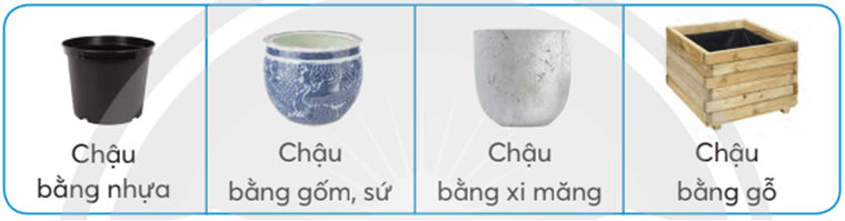 Công nghệ lớp 4 Chân trời sáng tạo Bài 2: Vật liệu dụng cụ trồng hoa và cây cảnh trong chậu