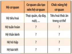 Bài 20: Các cấp độ tổ chức trong cơ thể đa bào