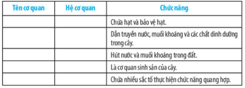 Bài 20: Các cấp độ tổ chức trong cơ thể đa bào