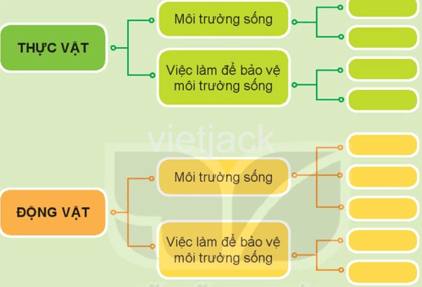 Bài 20: Ôn tập chủ đề Thực vật và động vật