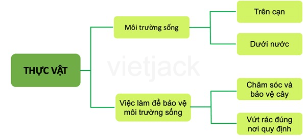 Bài 20: Ôn tập chủ đề Thực vật và động vật