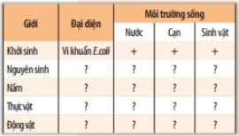 Bài 22: Phân loại thế giới sống