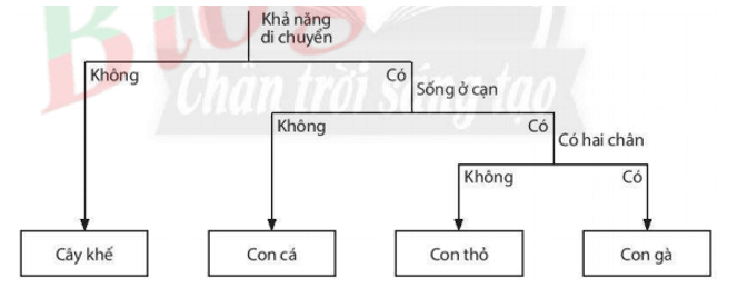 Bài 22: Phân loại thế giới sống