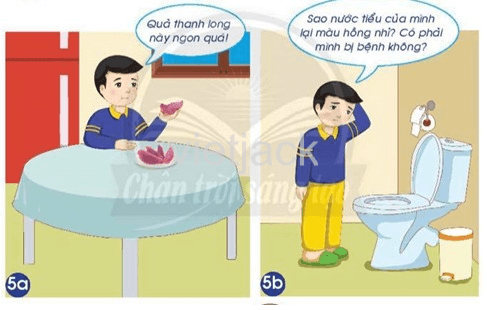 Bài 23: Cơ quan bài tiết nước tiểu