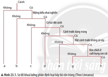 Bài 23: Thực hành xây dựng khóa lưỡng phân