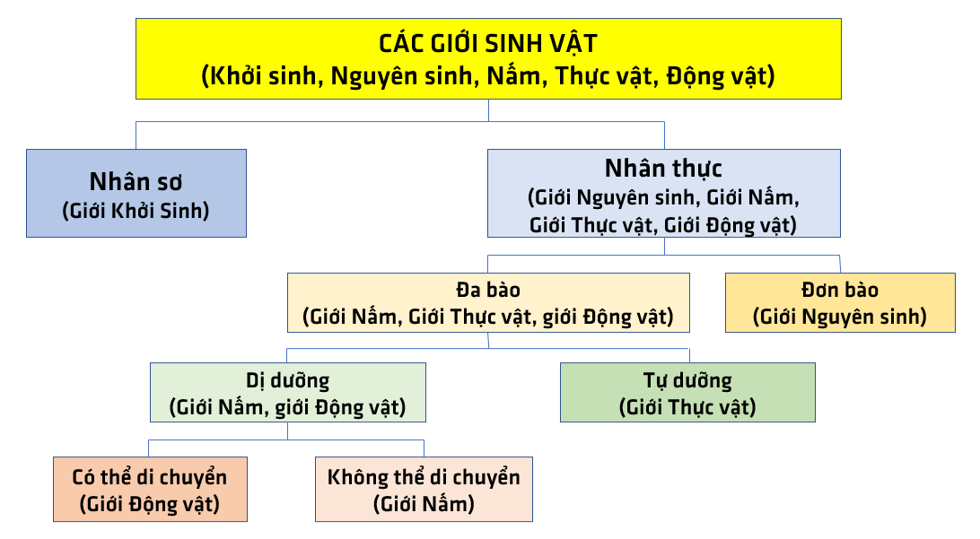 Bài 23: Thực hành xây dựng khóa lưỡng phân