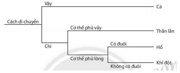 Bài 23: Thực hành xây dựng khóa lưỡng phân