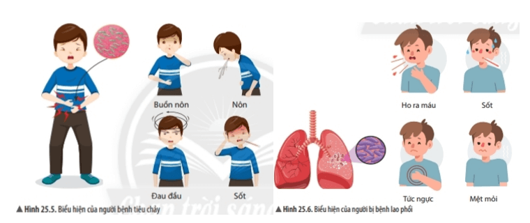 Bài 25: Vi khuẩn