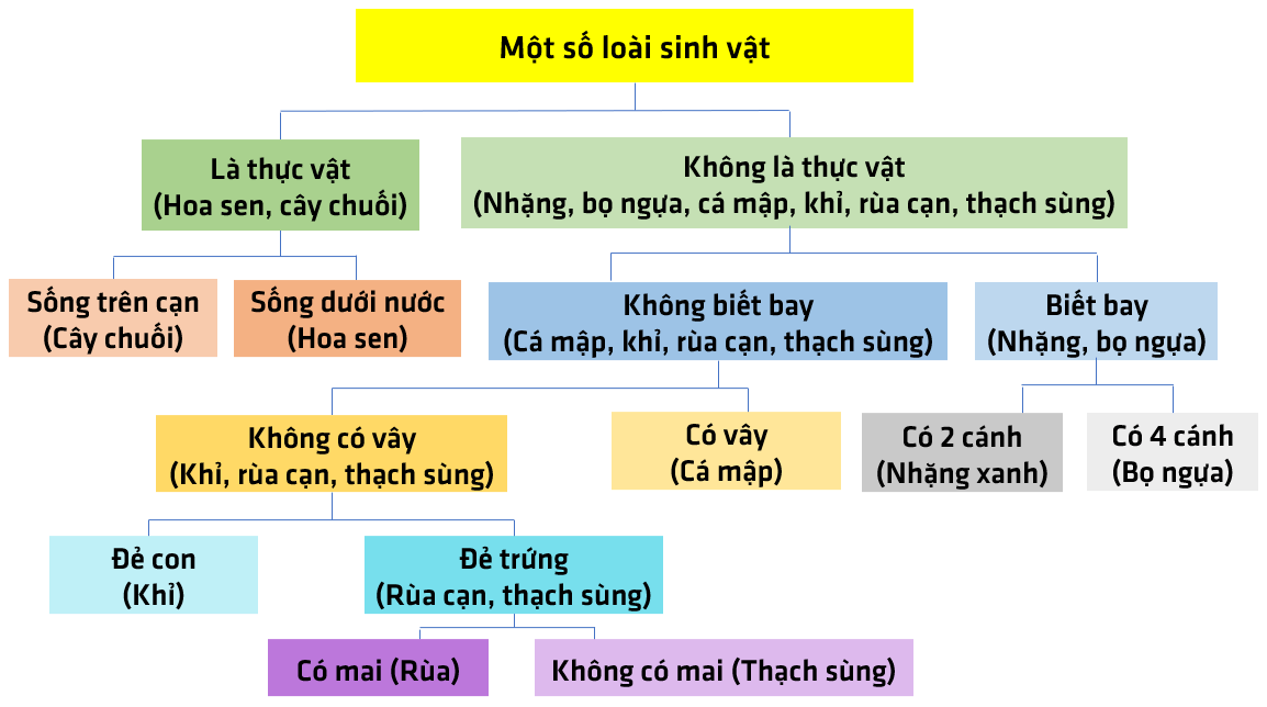 Bài 26. Khóa lưỡng phân