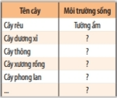 Bài 29: Thực vật