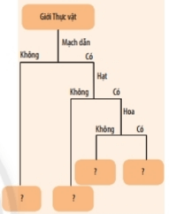 Bài 29: Thực vật