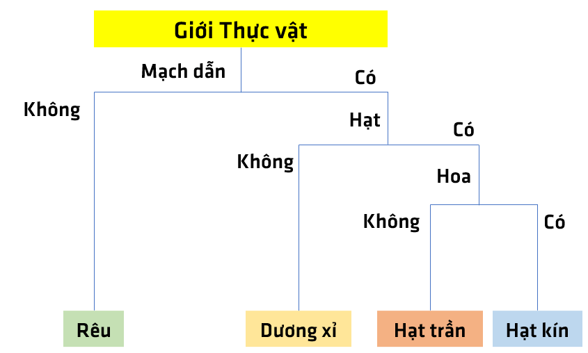 Bài 29: Thực vật