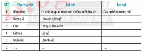 Bài 29: Thực vật