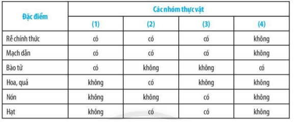 Bài 29: Thực vật