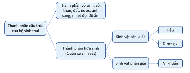 Thiết kế mô hình hệ sinh thái từ các nguyên vật liệu dễ kiếm