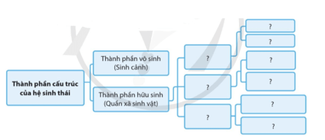 Thiết kế mô hình hệ sinh thái từ các nguyên vật liệu dễ kiếm