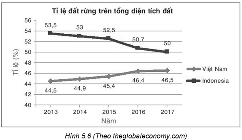 Cho biểu đồ (H.5.6) trang 93 VTH Toán 8