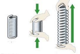 Sách bài tập Khoa học tự nhiên lớp 6 Bài 30: Các dạng năng lượng | Giải SBT KHTN 6 Cánh diều