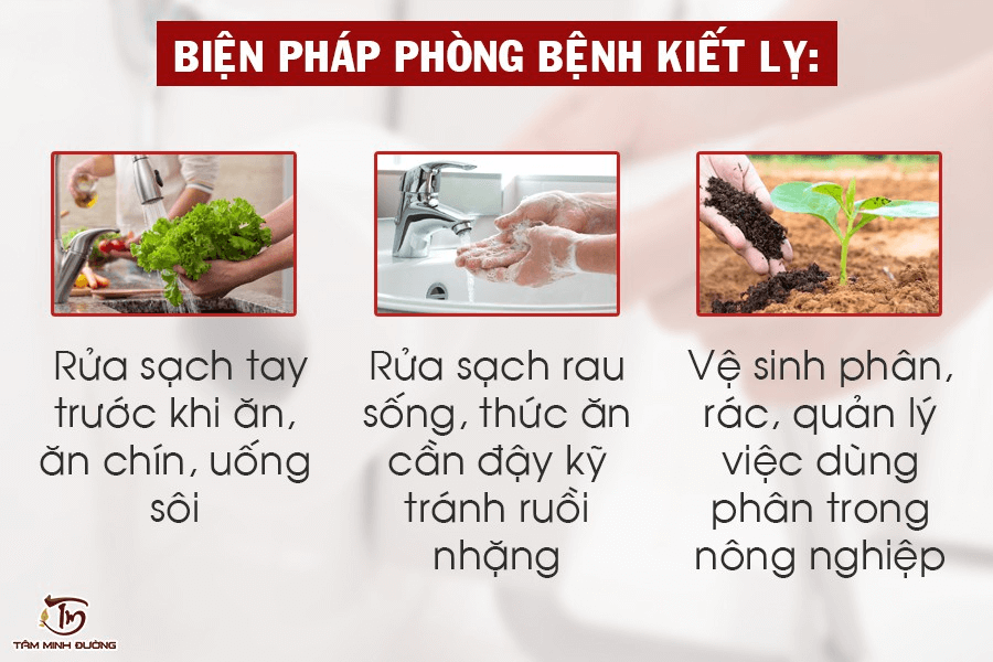 Bài 30. Nguyên sinh vật