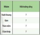 Bài 31: Động vật