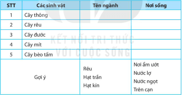 Bài 34. Thực vật