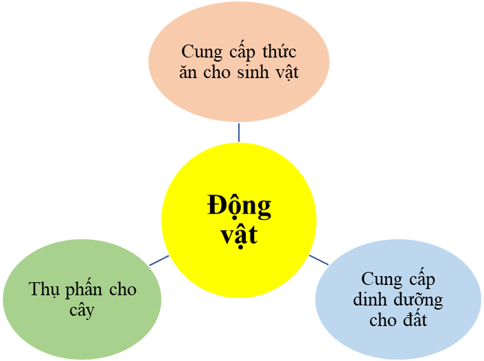 Bài 34: Tìm hiểu sinh vật ngoài thiên nhiên