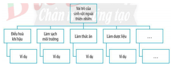 Bài 34: Tìm hiểu sinh vật ngoài thiên nhiên