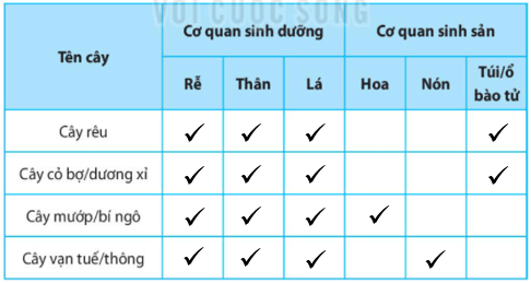 Bài 35. Thực hành: Quan sát và phân biệt một số nhóm thực vật