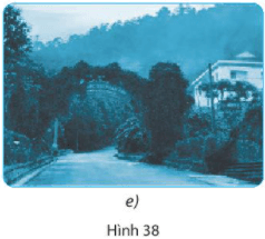 Bài 38: Đa dạng sinh học