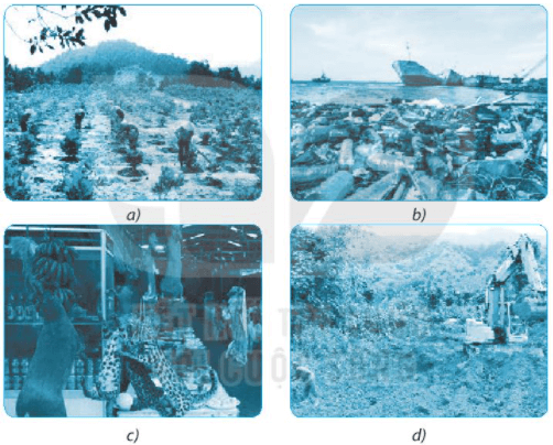 Bài 38: Đa dạng sinh học