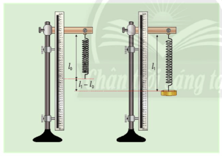 Bài 39: Biến dạng của lò xo. Phép đo lực