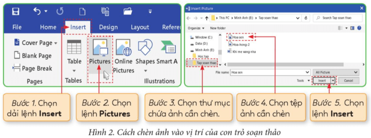 Tin học lớp 4 Cánh diều Bài 4: Chèn ảnh vào văn bản