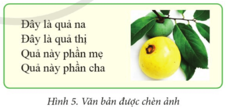 Tin học lớp 4 Cánh diều Bài 4: Chèn ảnh vào văn bản