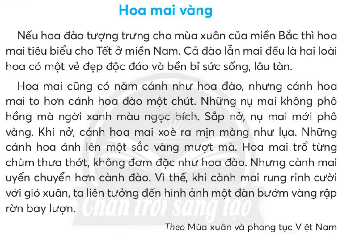 Tiếng Việt lớp 2 Bài 4: Hoa mai vàng trang 53, 54, 55, 56, 57 - Chân trời