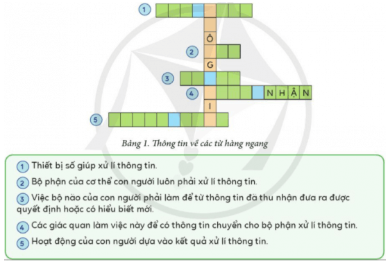 Tin học lớp 3 Bài 4: Ôn tập về thông tin và xử lý thông tin trang 23, 24 | Cánh diều