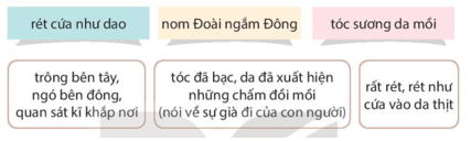 Bài 4: Quả ngọt cuối mùa Tiếng Việt lớp 4 Kết nối tri thức