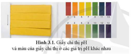 Bình thường chỉ số pH của nước tiểu ở người dao động trong khoảng 4,5 – 8,0