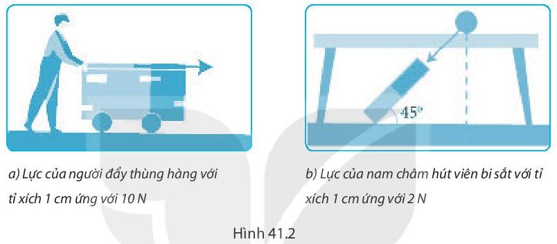 Bài 41: Biểu diễn lực