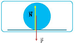 Bài 43. Trọng lượng, lực hấp dẫn