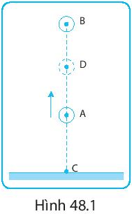 Bài 48. Sự chuyển hóa năng lượng