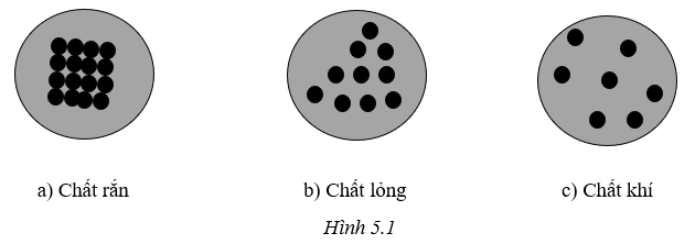 Sách bài tập Khoa học tự nhiên lớp 6 Bài 5: Sự đa dạng của chất | Giải SBT KHTN 6 Cánh diều