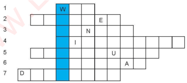 Bài 6: Mạng thông tin toàn cầu