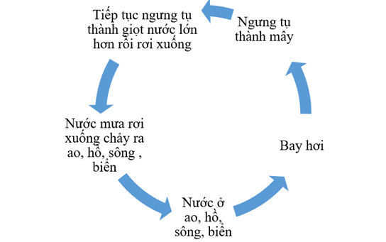 Sách bài tập Khoa học tự nhiên lớp 6 Bài 7: Oxygen và không khí | Giải SBT KHTN 6 Cánh diều