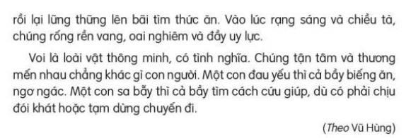 Đọc: Bầy voi rừng Trường Sơn trang 35, 36 Tiếng Việt lớp 3 Tập 2 | Kết nối tri thức